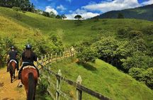 Authentic Colombian Horseback Ride