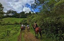 Authentic Colombian Horseback Ride