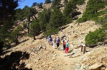Troodos Walking Trip (Artemis+/Myllomeris Waterfalls)