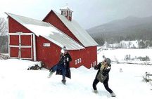 Small Group Tour in Stowe, Vermont 