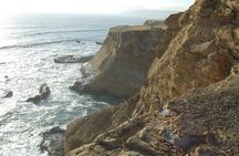 Paracas Full Day: Islas Ballestas, National Park and Sandboarding in Paracas