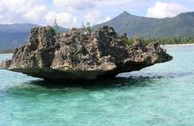 Dolphin Experience in Open Sea and South West Tour of Mauritius including Lunch