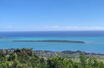 Dolphin Experience in Open Sea and South West Tour of Mauritius including Lunch