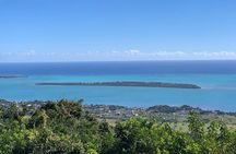 Full-Day Dolphin Watching Cruise in Mauritius