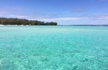 Full-Day Northern Catamaran Cruise: Coin de Mire and Ile Plate Island