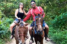 Punta Cana Beach Horseback Riding