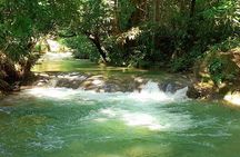 Mayfield Falls nature walk