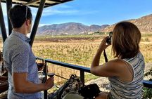 Luxury Private Wine Tasting Tour to Guadalupe Valley from San Diego