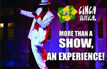 By Night - Ginga Tropical Show