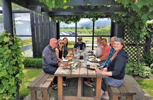 Marlborough Wine Tour - Picton Discovery Cruise Ship Tour