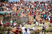 3 Days, Arba Minch, Dorze village and Konso Village