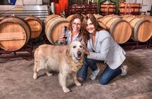 Half Day Rioja Wine Tour