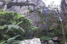 Private Breathtaking Koroyanitu Half Day Waterfall Hike