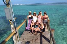 Fiji Coral Coast Venture