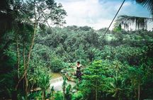 The Best Ubud Experience in a Full-Day Private Tour - Free WIFI