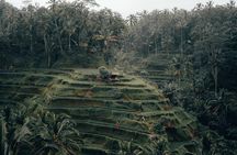 The Best Ubud Experience in a Full-Day Private Tour - Free WIFI