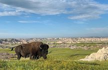 Premier Private Badlands Day Tour