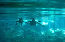 Cenotes and Snorkel