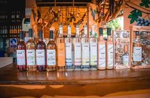 Wine, Pisco and Dune Buggy Experience