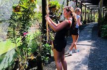Nadi Sightseeing & Mud Pool Tour