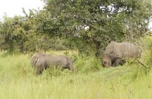 3-Day Murchison Falls National Park - Adventure Safari