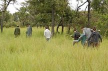 3-Day Murchison Falls National Park - Adventure Safari