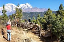 Mohare Danda Trek