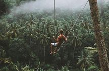 Bali romantic floating breakfast - jungle swing - monkey forest - Ubud art shop.