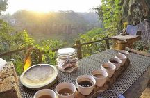 Bali romantic floating breakfast - jungle swing - monkey forest - Ubud art shop.