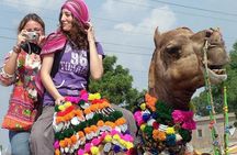 Colors of Rajasthan Tour Is 13 Night 14 Days Private India Tour from Delhi