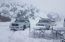 Casablanca To Sahara Desert : 5D/4N