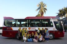 Private Transfer Hotel Pick Up for Small Group Halong Day Tour