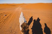 Overnight Camel trekking in Merzouga