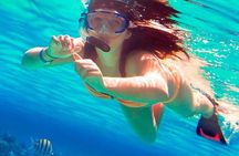 Snorkeling tour at Paradise island Hurghada 