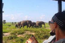 7-Day Uganda Adventure Safari - Midrange Lodges