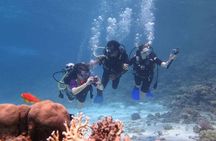 Snorkeling tour at Paradise island Hurghada 