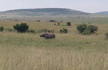 Maasai Mara Safari!!