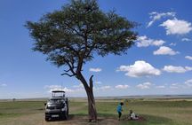Maasai Mara Safari!!