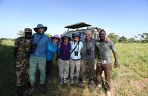 9-Day Uganda Primates - Lions & so Much More (Midrange)