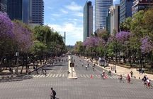 Small VIP Group: The Ultimate Mexico City Tour