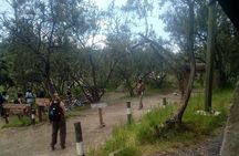 2 Days L. Naivasha, Hells Gate and Nakuru Private Safari
