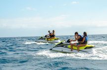 Tenerife Double Jet Ski Safari 40 Minute Guided Tour