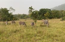 Discover Nature at Shai Hills and Akosombo: Wild Animals, Caves & Volta Lake