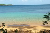 Snorkeling Lesson & Interactive Experience for Kids and Adults 