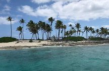 Private Rose Island ,Swimming Pigs, Snorkeling and Turtles