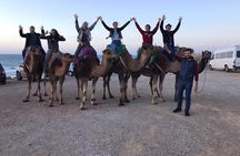 Tangier private tour & Camel ride (sightseeing & Walking Tour)