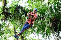 Tarzan Swing Adventure