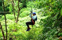 Canopy Tour + Tarzan Swing + Night Walk