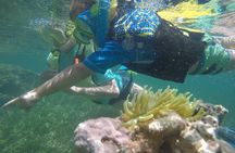 Snorkeling and Kayak Eco-Experience