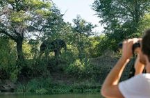 Zambezi Classic Sunset Cruise